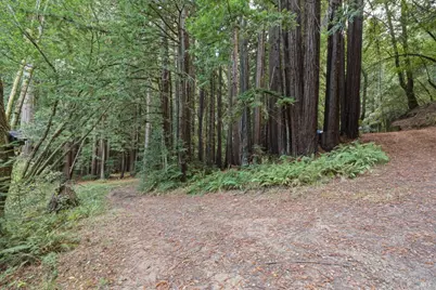 1355 Nicasio Valley Road, Nicasio, CA 94946 - Photo 4