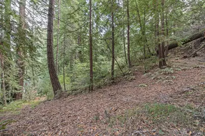 1355 Nicasio Valley Road, Nicasio, CA 94946 - Photo 6