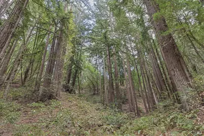 1355 Nicasio Valley Road, Nicasio, CA 94946 - Photo 14