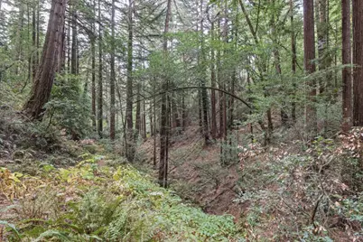 1355 Nicasio Valley Road, Nicasio, CA 94946 - Photo 12