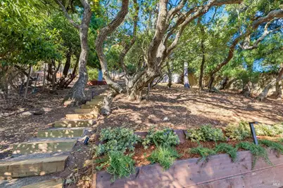49 Central Avenue, Sausalito, CA 94965 - Photo 56