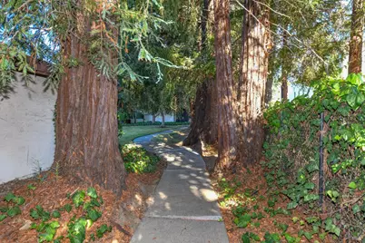 3464 Willis Drive, Napa, CA 94558 - Photo 26