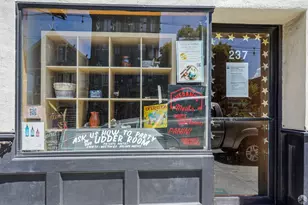 143 Prospect Ave, San Francisco, CA 94110 - Photo 14