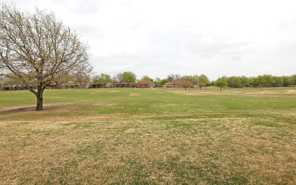 372 Pine Valley Dr, Fairview, TX 75069 - MLS 14539406 ...