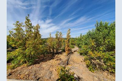 Tbd White Cloud Rd - Photo 1