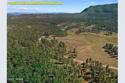 1A Forest Road 26, Alpine, AZ 85920 - Photo 1