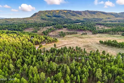 1A Forest Road 26, Alpine, AZ 85920 - Photo 6