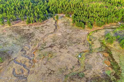 1A Forest Road 26, Alpine, AZ 85920 - Photo 12