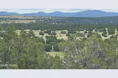 43 Charleen Drive, Concho, AZ 85924 - Photo 16