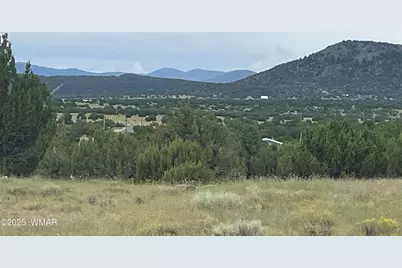 43 Charleen Drive, Concho, AZ 85924 - Photo 8