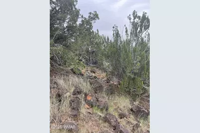 43 Charleen Drive, Concho, AZ 85924 - Photo 14