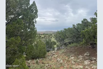 43 Charleen Drive, Concho, AZ 85924 - Photo 6