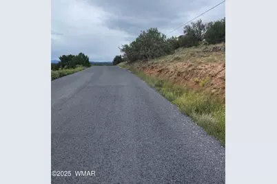 43 Charleen Drive, Concho, AZ 85924 - Photo 12