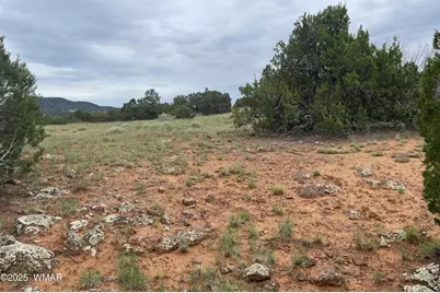 43 Charleen Drive, Concho, AZ 85924 - Photo 1