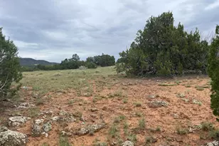 43 Charleen Dr, Concho, AZ 85924 - Photo 1