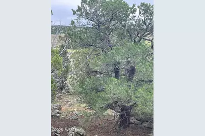 43 Charleen Drive, Concho, AZ 85924 - Photo 10