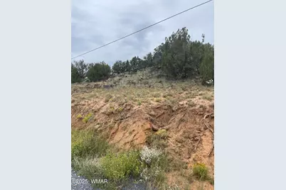 43 Charleen Drive, Concho, AZ 85924 - Photo 4