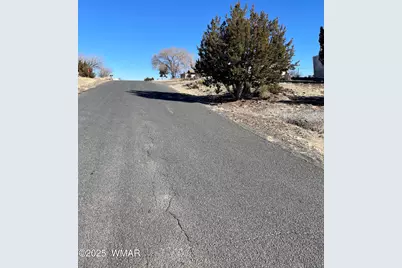 74 Dawn Lane, Concho, AZ 85924 - Photo 4