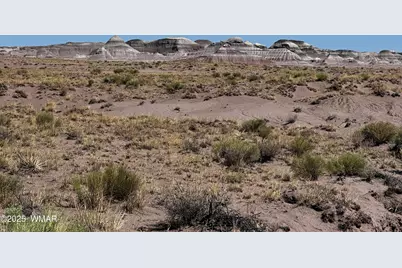 0003 N Porter Road, Joseph City, AZ 86032 - Photo 1