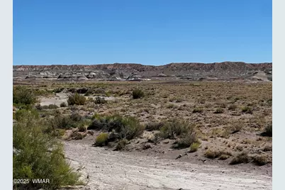 0003 N Porter Road, Joseph City, AZ 86032 - Photo 2