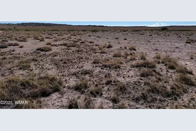 0006 Porter Road, Joseph City, AZ 86032 - Photo 6