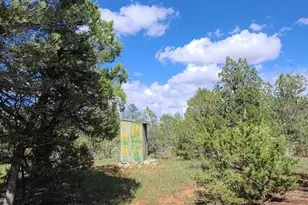 3085&amp 3091 State Route 277 Hwy, Heber, AZ 85928 - Photo 14