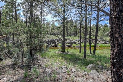 027 Birdsong Way, Lakeside, AZ 85929 - Photo 1