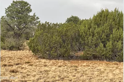 1 County Road 3047, Concho, AZ 85924 - Photo 4