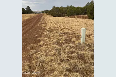 1 County Road 3047, Concho, AZ 85924 - Photo 2