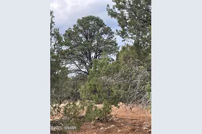 1 County Road 3047, Concho, AZ 85924 - Photo 8