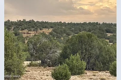 1 County Road 3047, Concho, AZ 85924 - Photo 10