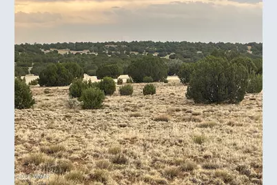 1 County Road 3047, Concho, AZ 85924 - Photo 6