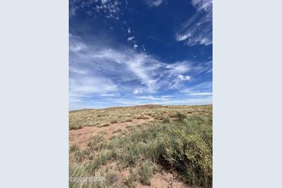 46 County Road 6019, Saint Johns, AZ 85936 - Photo 1