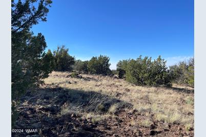 12 County Road, Concho, AZ 85924 - Photo 1