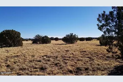 7693 Arroyo Plata Drive, Show Low, AZ 85901 - Photo 6