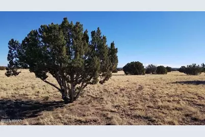 7693 Arroyo Plata Drive, Show Low, AZ 85901 - Photo 4