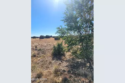 7693 Arroyo Plata Drive, Show Low, AZ 85901 - Photo 18