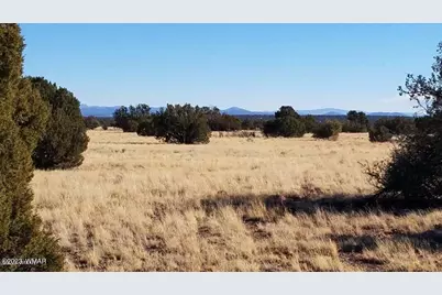 7693 Arroyo Plata Drive, Show Low, AZ 85901 - Photo 8