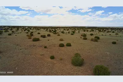 7687 Arroyo Plata Drive, Shumway, AZ 85901 - Photo 28