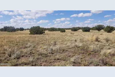 7687 Arroyo Plata Drive, Shumway, AZ 85901 - Photo 10