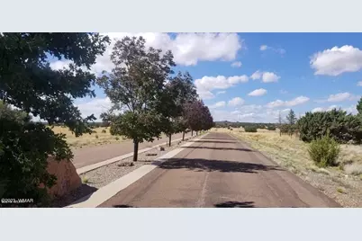 7687 Arroyo Plata Drive, Shumway, AZ 85901 - Photo 4