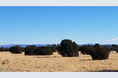 7687/7693 Arroyo Plata Drive, Show Low, AZ 85901 - Photo 6