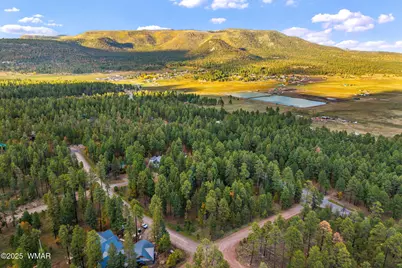 000 County Road 2196, Alpine, AZ 85920 - Photo 2