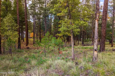 000 County Road 2196, Alpine, AZ 85920 - Photo 16