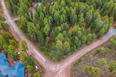 000 County Road 2196, Alpine, AZ 85920 - Photo 10