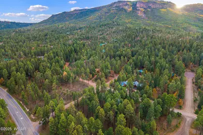 000 County Road 2196, Alpine, AZ 85920 - Photo 6