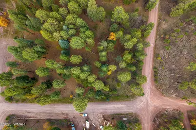 000 County Road 2196, Alpine, AZ 85920 - Photo 8