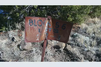 0 Concho Valley, Concho Valley, AZ 85924 - Photo 18