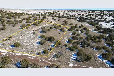 0 Concho Valley, Concho Valley, AZ 85924 - Photo 4