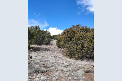 3 Lots in Show Low Pines - Photo 1